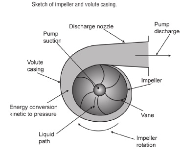 centrifugal-pump-impeller-and-volute-casing
